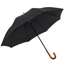 Wooden Handle Umbrella